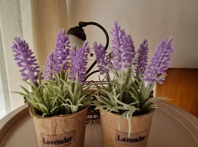 Levanda House *